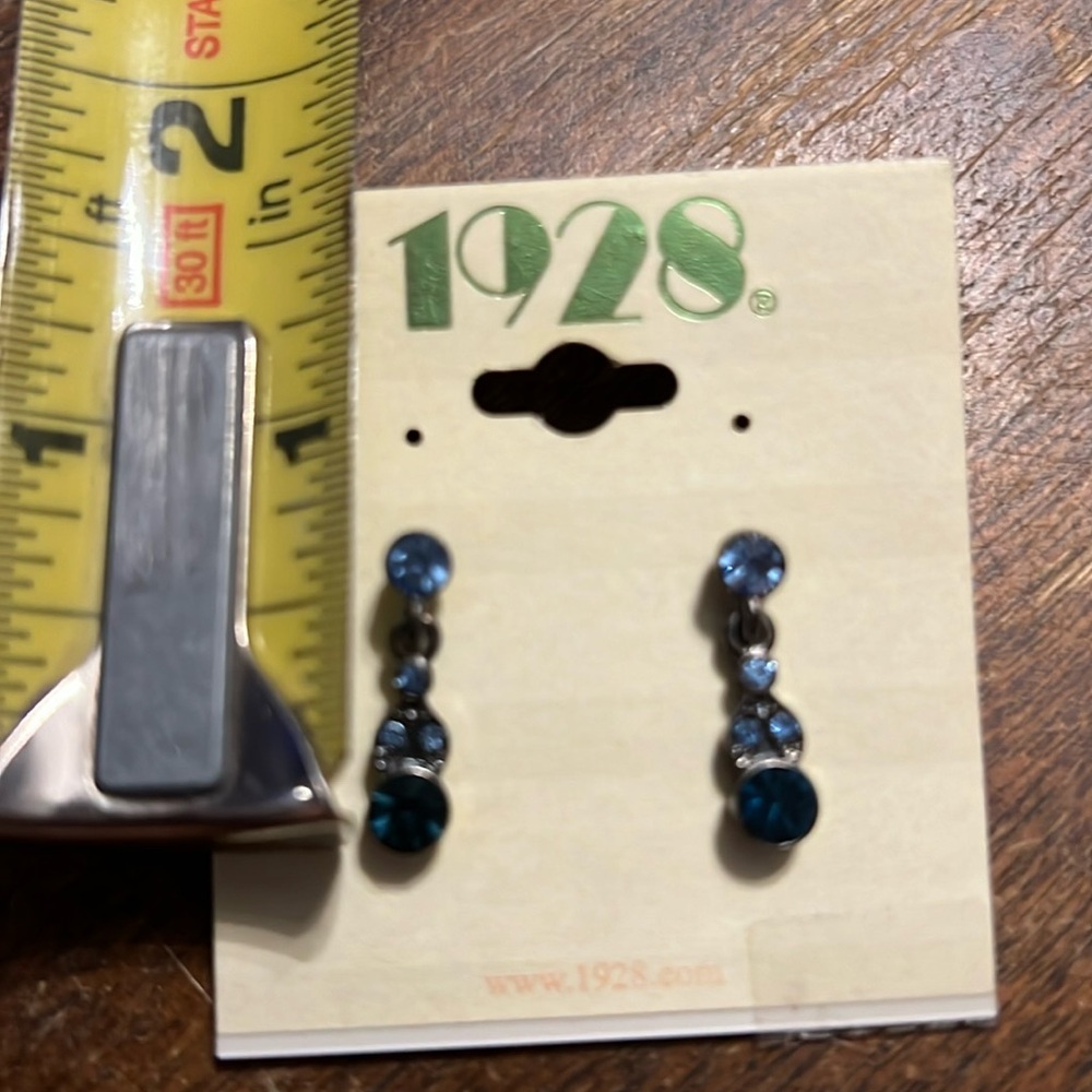 Blue earrings